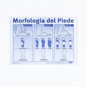 POSTER MORFOLOGIA DEL PIEDE