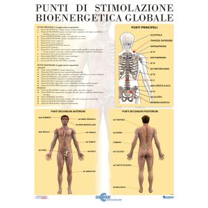 POSTER BIOENERGETICA GLOBALE